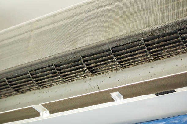 Best Air Duct Cleaning Near Me in Cascade, ID